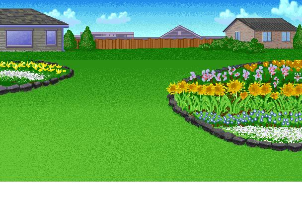 The Backyard