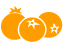orange.gif (1415 bytes)