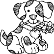 colordog
