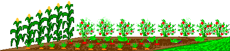 garden.gif (8081 bytes)