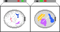 laundry-a.gif (4409 bytes)
